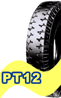 PT12