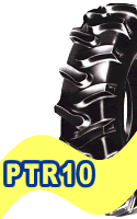 PTR10